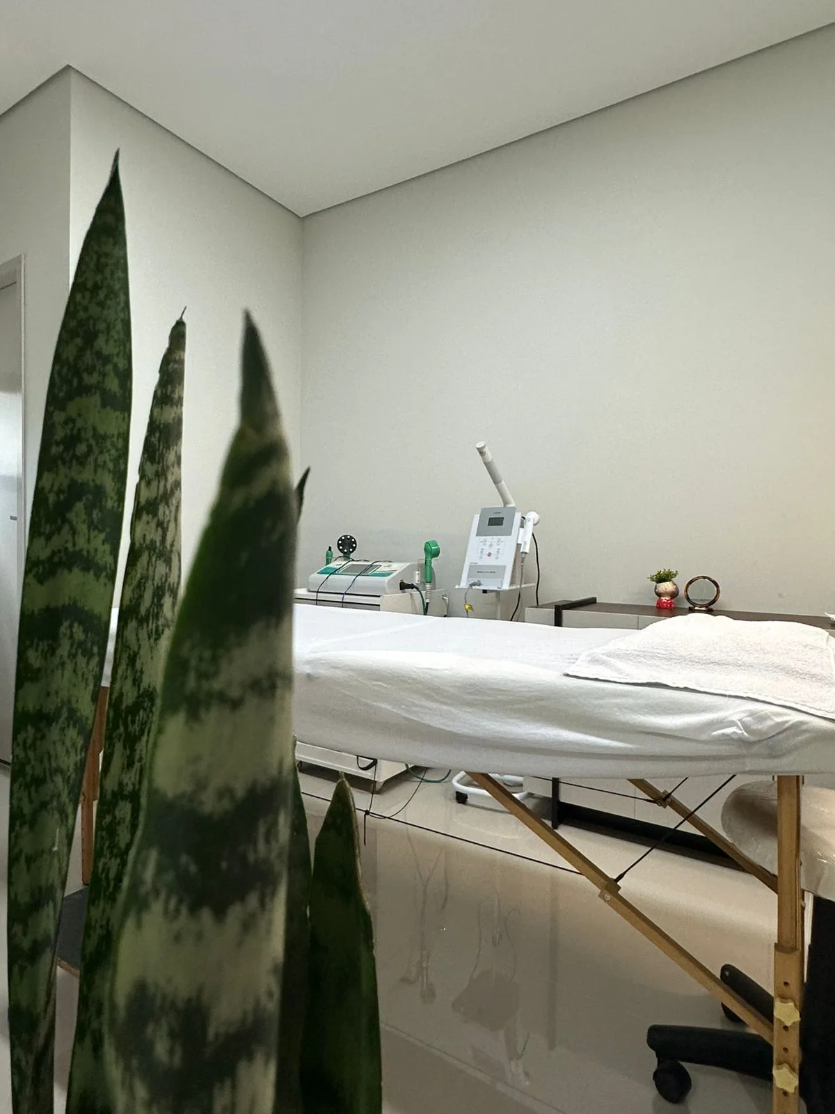 Sala de atendimento com maca e plantas